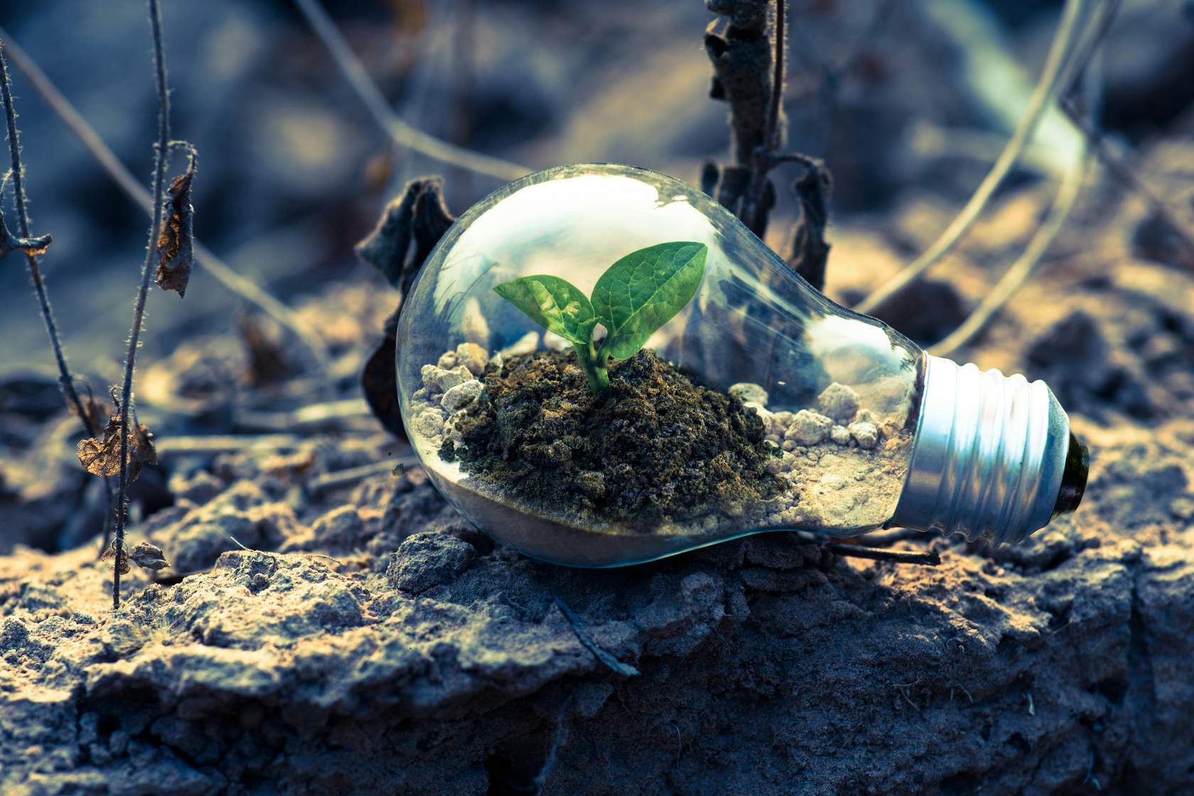 Fostering a Growth Mindset